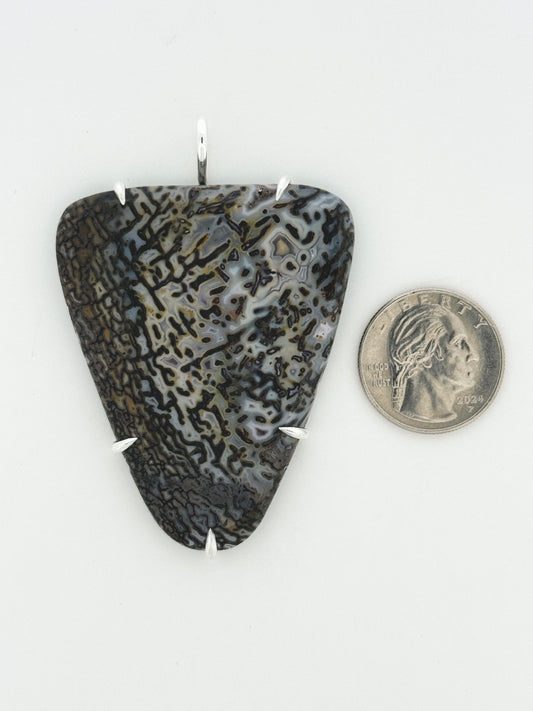 Fossil Dinosaur Bone Prong Mount
