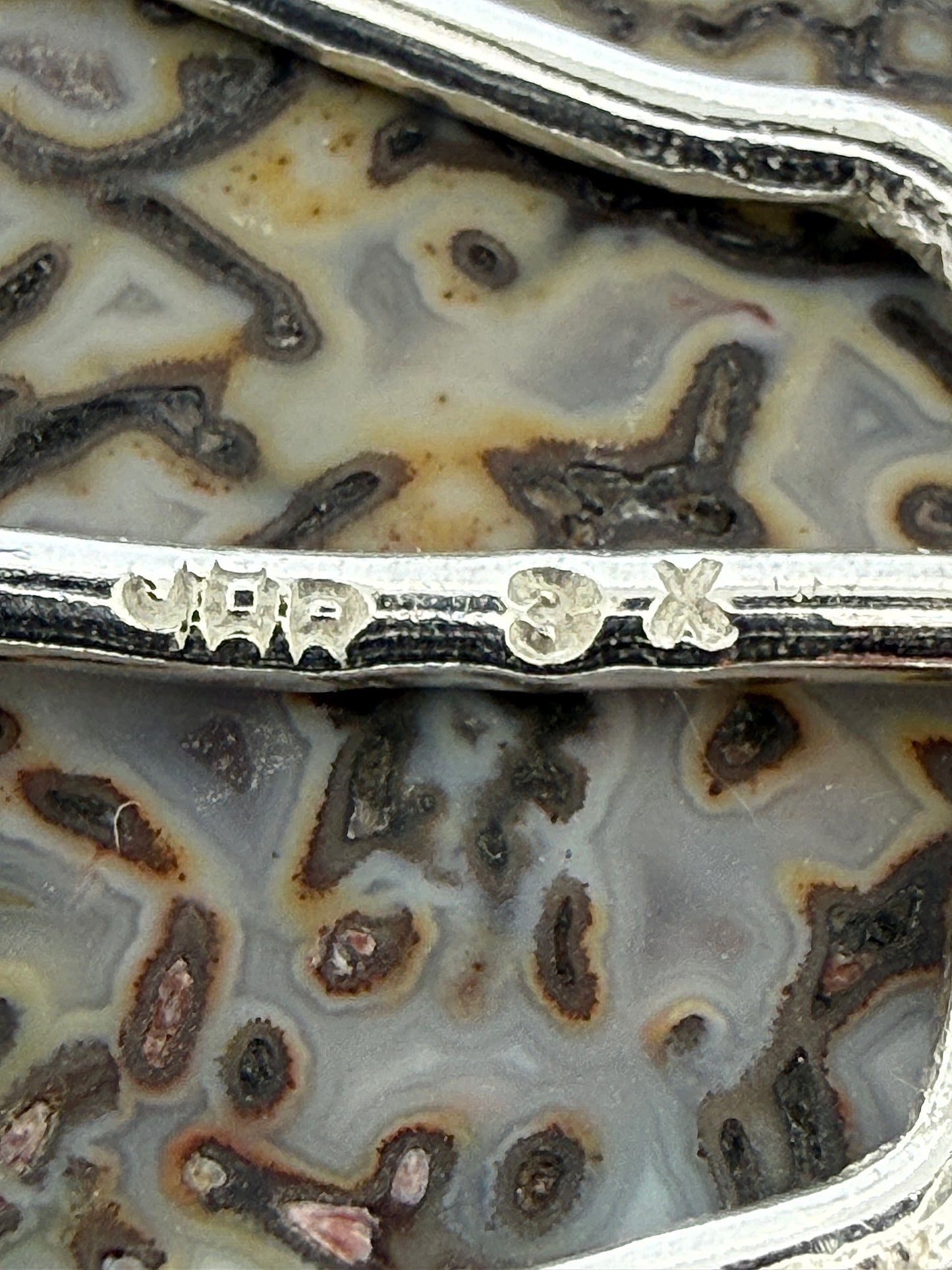 Fossil Dinosaur Bone Prong Mount