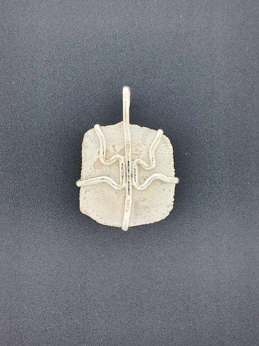 Alligator Scutellum Prong Mount