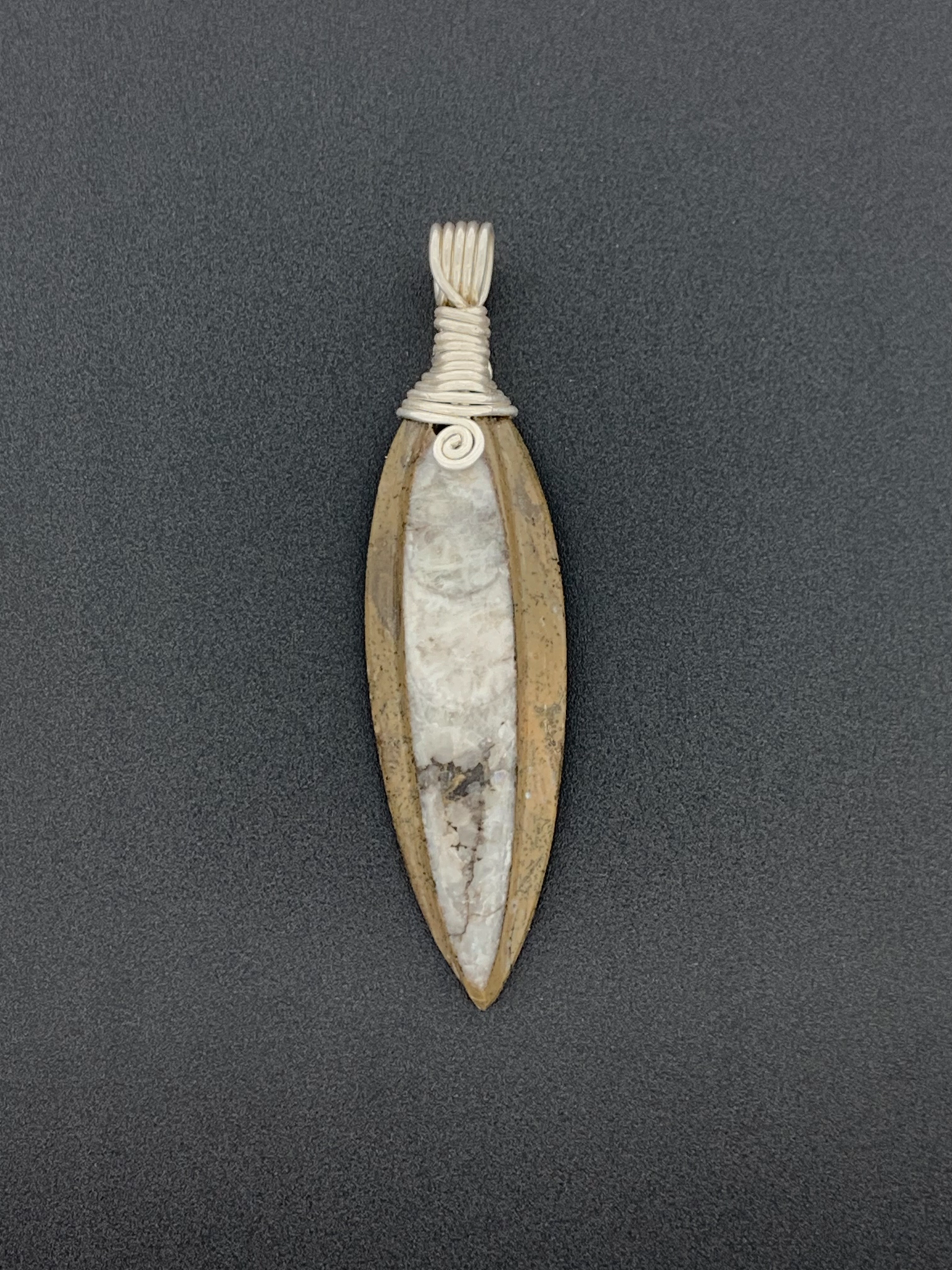 Fossil Orthoceras Wire Wrap