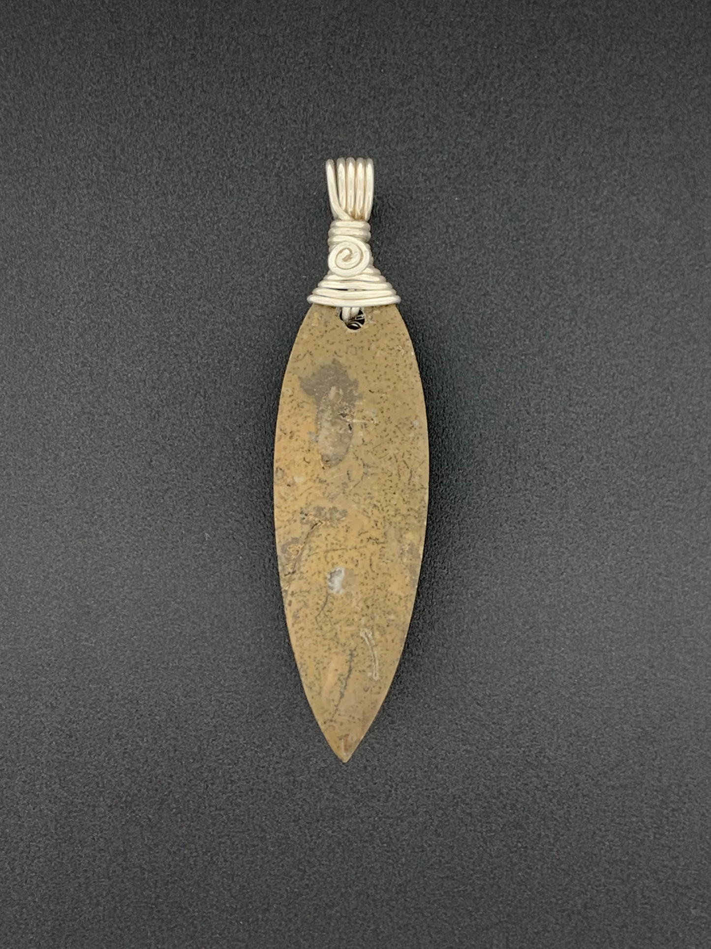 Fossil Orthoceras Wire Wrap