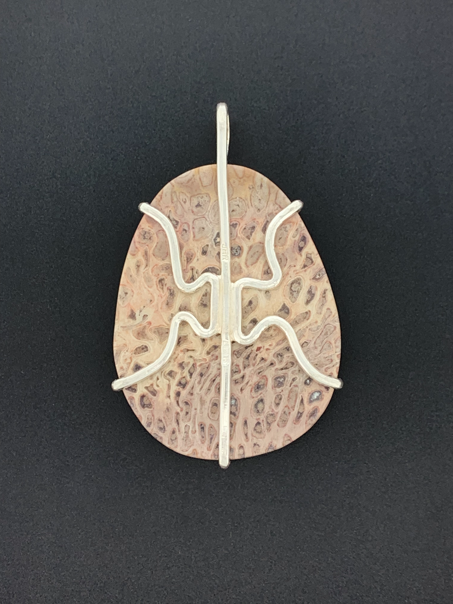 Fossil Tree Fern Root Prong Mount
