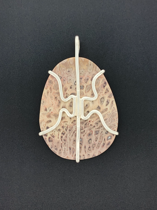 Fossil Tree Fern Root Prong Mount
