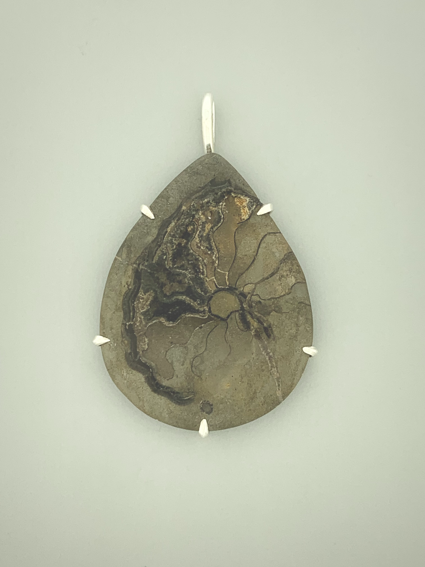 Fossil Ammonite Prong Mount