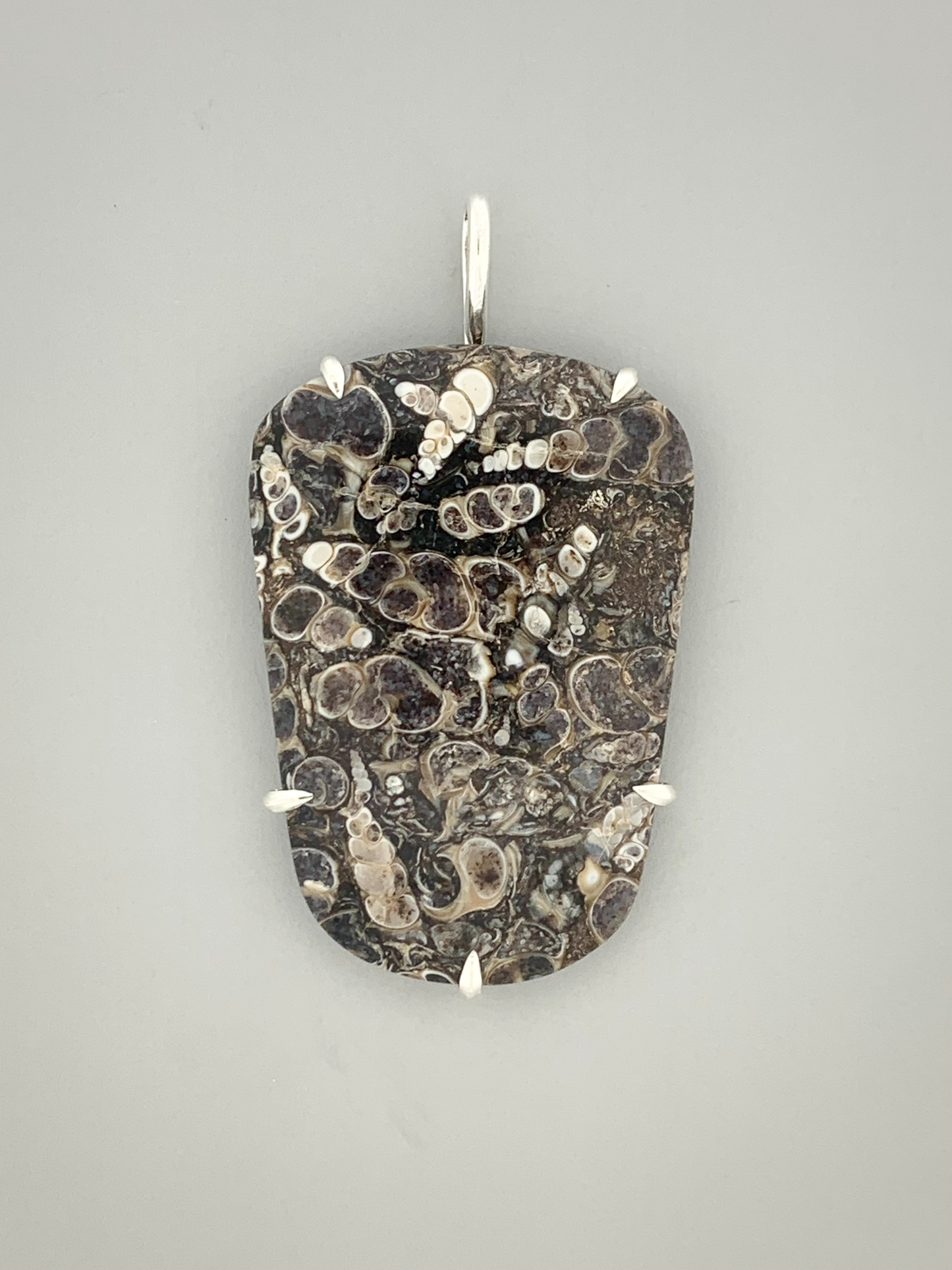 Fossil Turritella Prong Mount