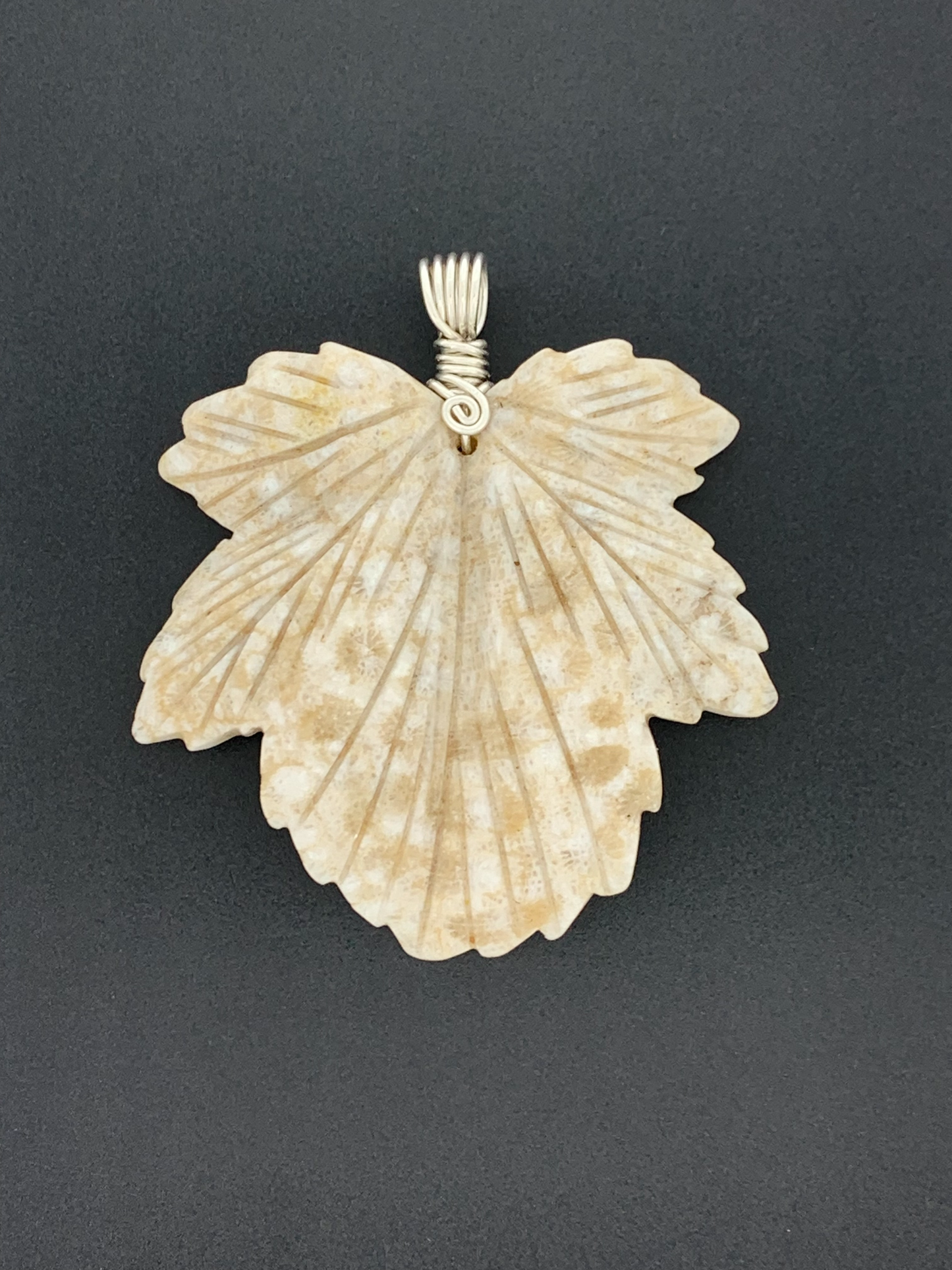 Fossil Coral Wire Wrap, Leaf