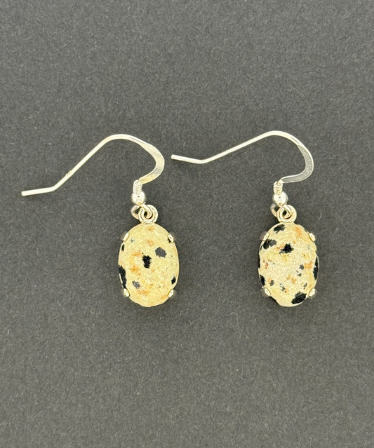 Dalmatian Jasper Earrings