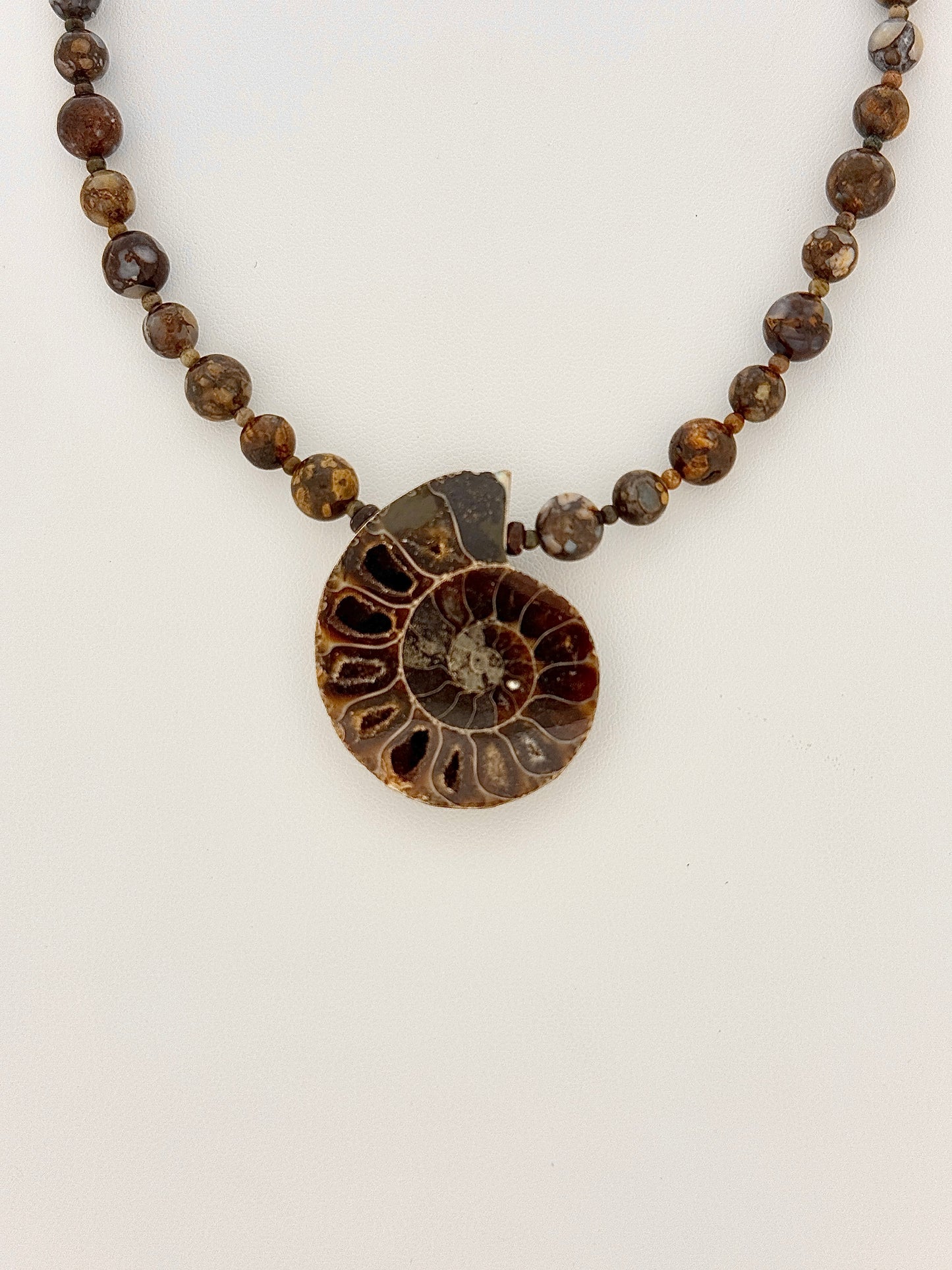 Fossil Ammonite And Opalized Wood Necklace