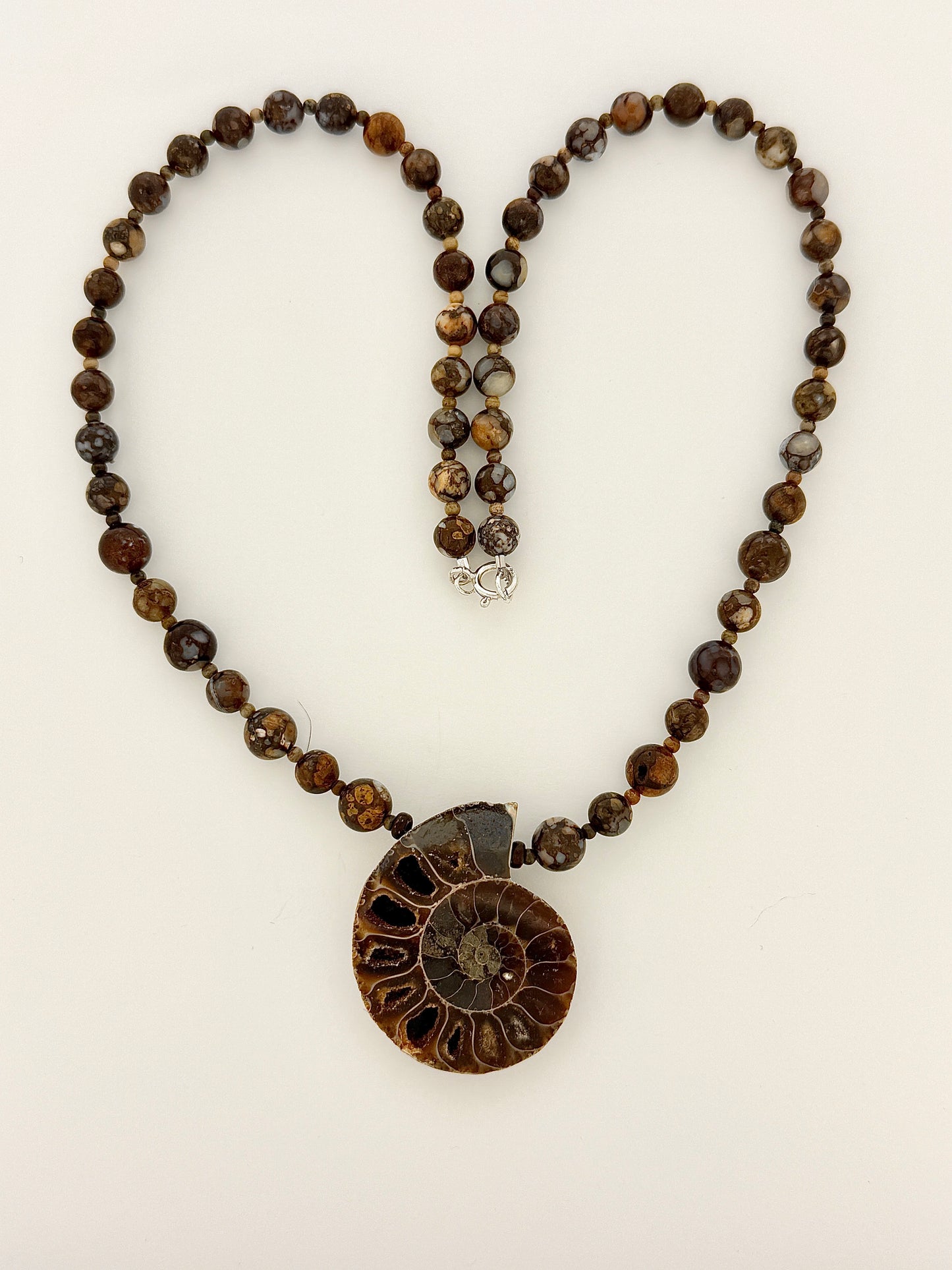 Fossil Ammonite And Opalized Wood Necklace