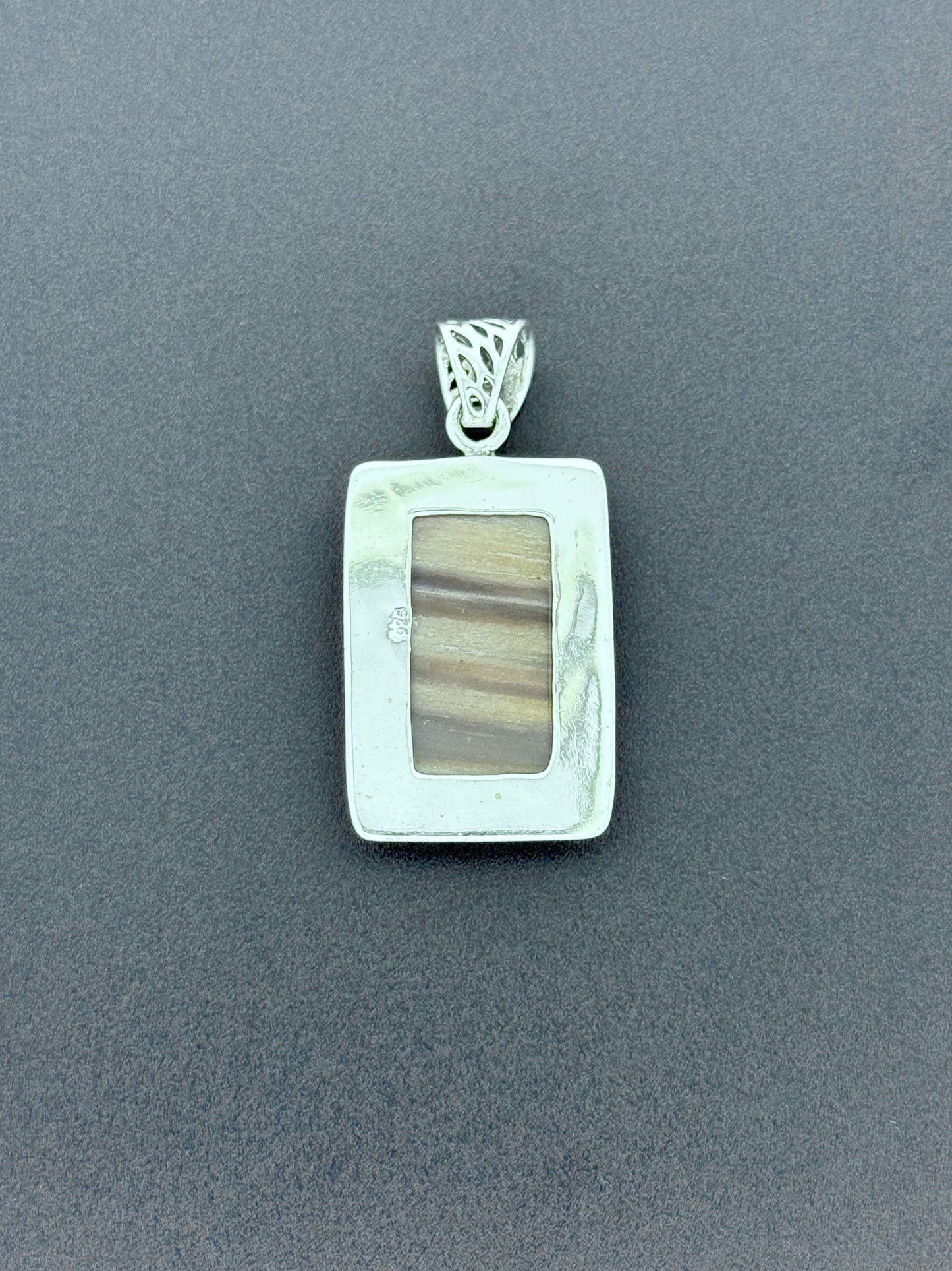 Petrified Wood Pendant