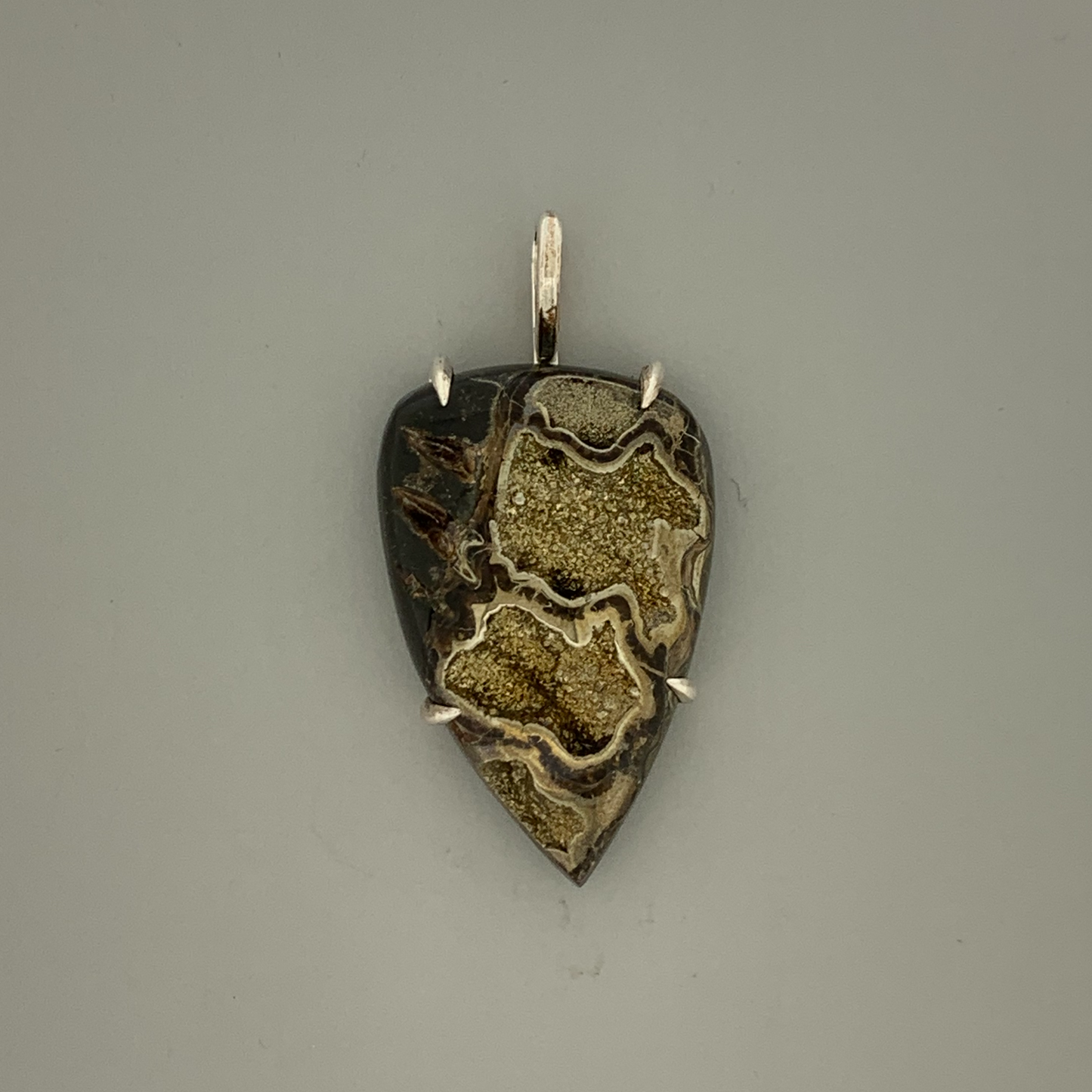 Fossil Ammonite, Pyritized Section, Prong Mount