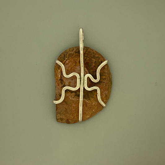 Fossil Ammonite Prong Mount