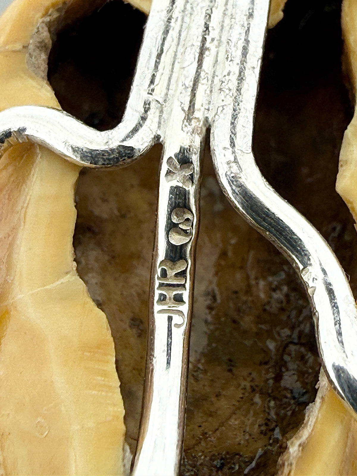 Fossil Cave Bear Molar Prong Mount