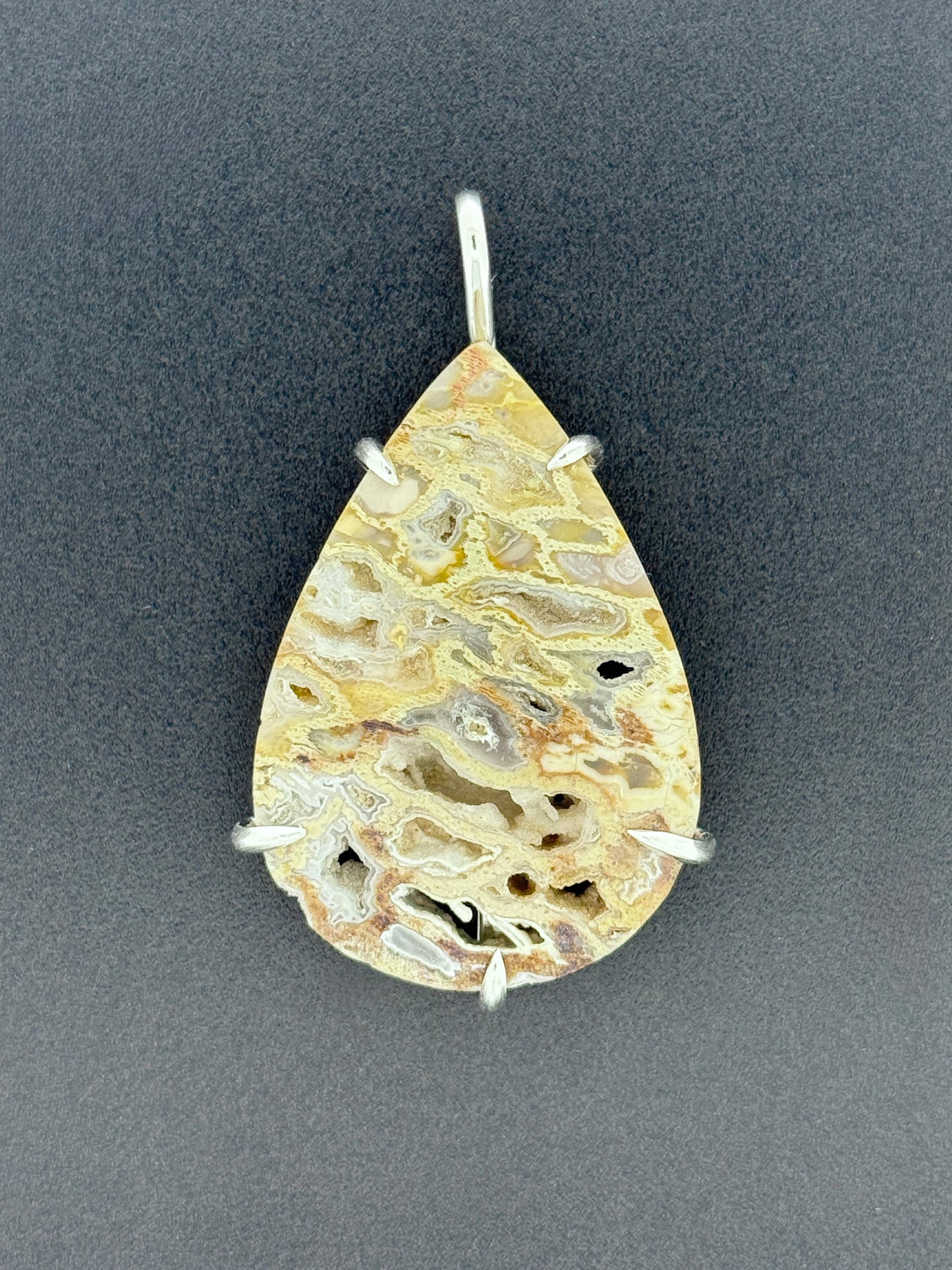 Peck Petrified Wood Prong Mount