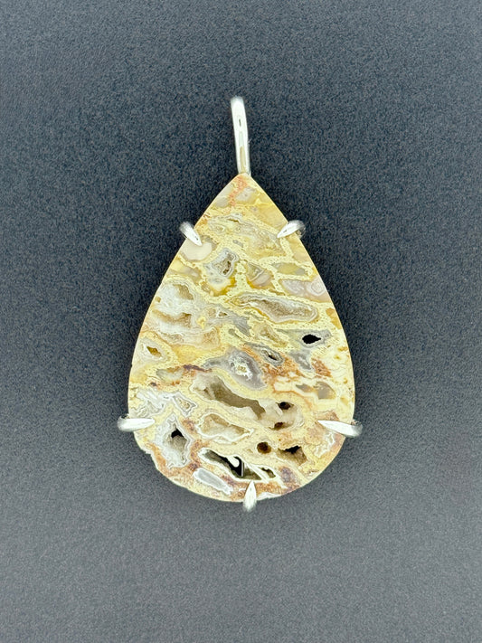 Peck Petrified Wood Prong Mount