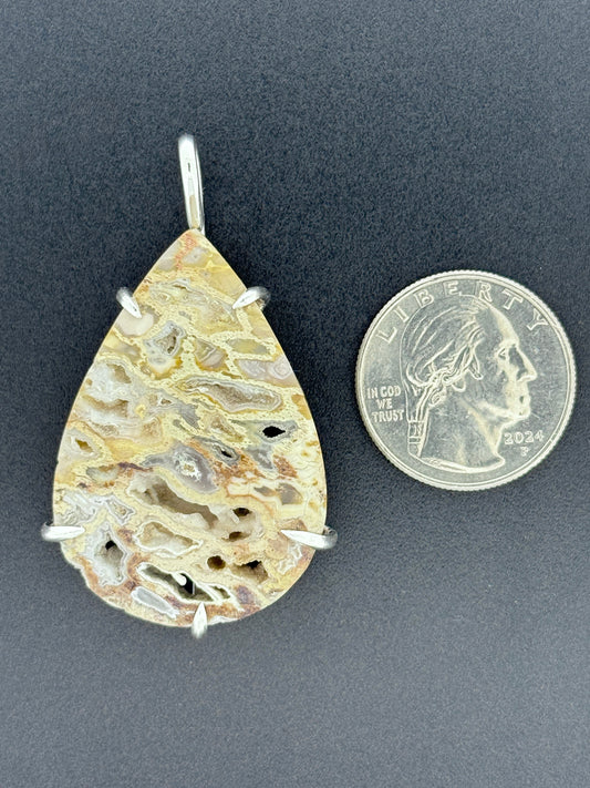 Peck Petrified Wood Prong Mount