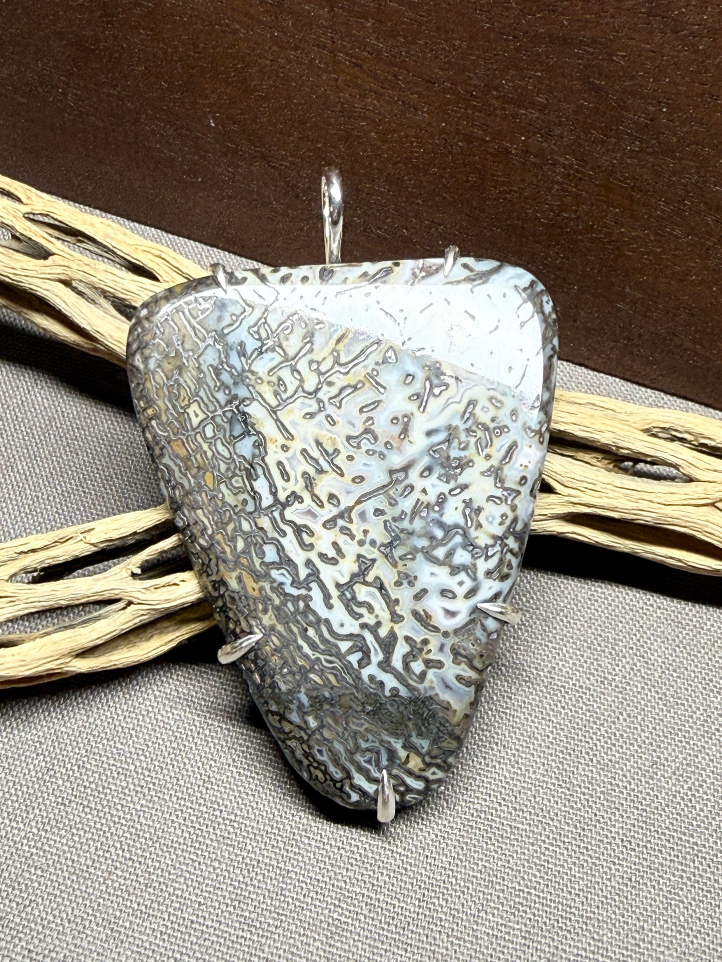 Fossil Dinosaur Bone Prong Mount