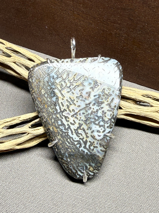 Fossil Dinosaur Bone Prong Mount
