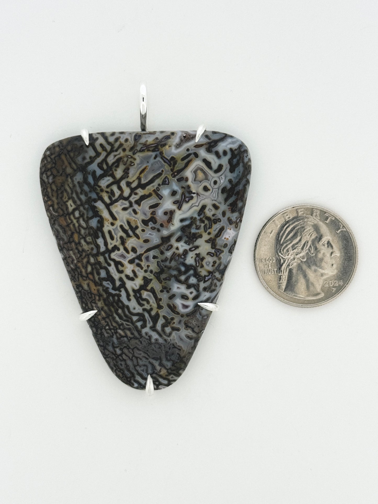 Fossil Dinosaur Bone Prong Mount