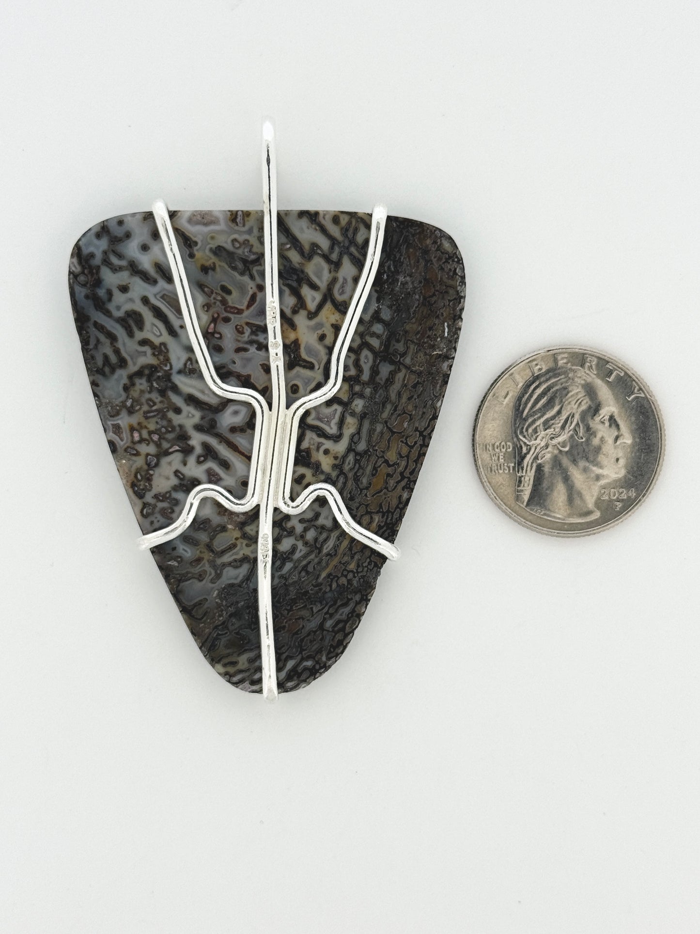 Fossil Dinosaur Bone Prong Mount