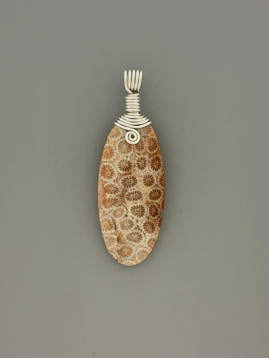 Fossil Coral Wire Wrap