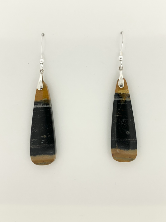 Petrified Wood Earrings