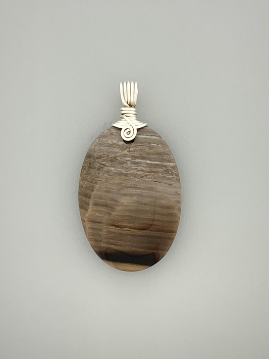 Petrified Wood Wire Wrap