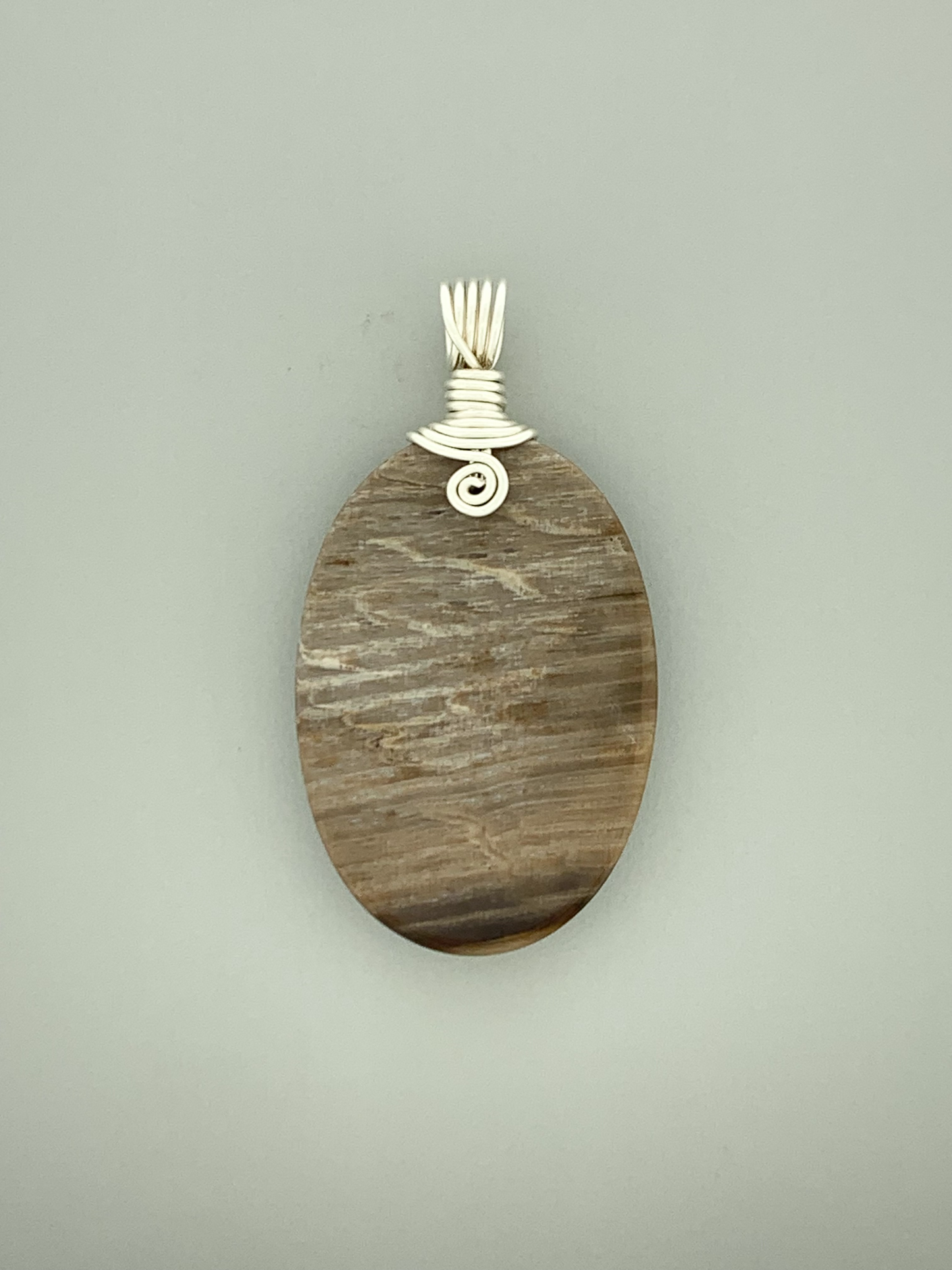 Petrified Wood Wire Wrap