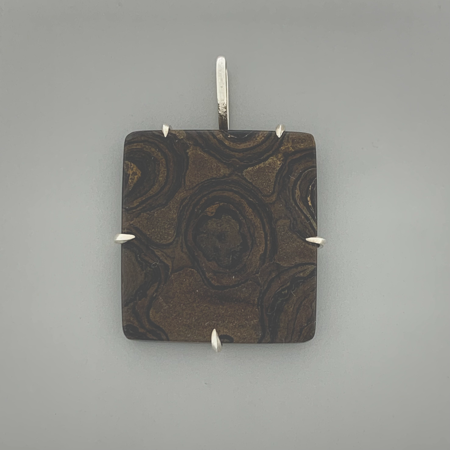 Fossil Stromatolite Prong Mount