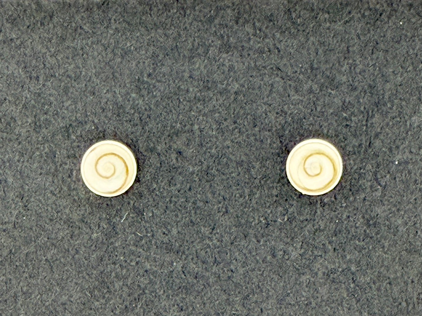 Shell Operculum Earrings, Stud