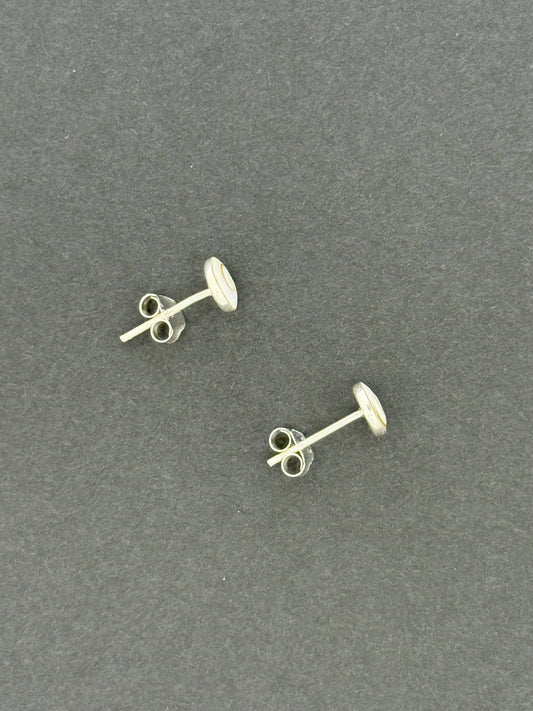 Shell Operculum Earrings, Stud